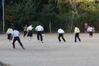 朝の運動