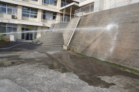 交流学習