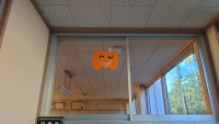 ハロウィン