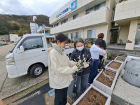 イルミネーション設置