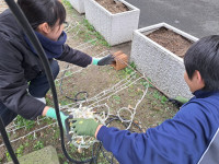 イルミネーション設置