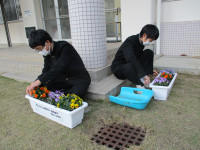 花がら摘み