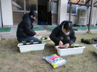 花植え