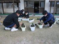 花植え