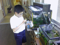 PICT0006
