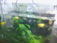 PICT0010