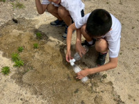 小学生 (2)