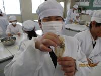交流学習