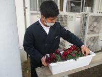 人権の花