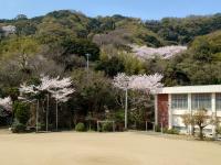 春 春