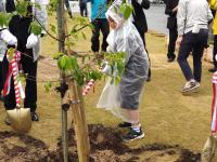 愛媛県植樹祭