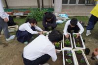 人権の花受贈式