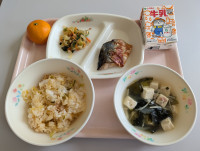 PXL_20260206_032923017[1]