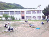 7.8　草引き (1)