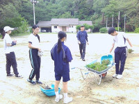7.8　草引き (3)