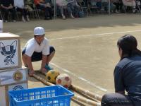 魚島大運動会