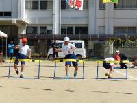 魚島大運動会